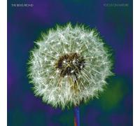 The Bevis Frond Focus On Nature (CD) Album Digisleeve