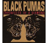 Black Pumas - Chronicles Of A Diamond