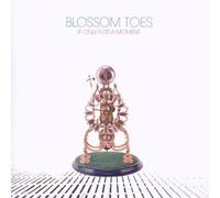 Audio Cd Blossom Toes - If Only For A Moment