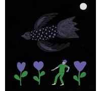 Bonnie 'Prince' Billy The Purple Bird (CD) Album