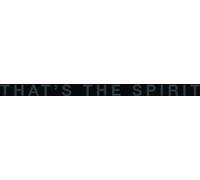 Bring Me The Horizon - That's The Spirit