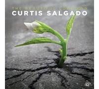 Audio Cd Curtis Salgado - The Beautiful Lowdown