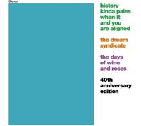 Dream Syndicate – The Days of Wine and Roses – CD