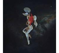 Audio Cd Hail Spirit Noir - Fossil Garden