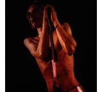 Audio Cd Iggy & The Stooges - Raw Power