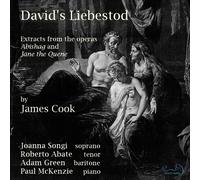 Audio Cd James Cook - David's Liebestod
