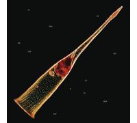 Leprous - Melodies Of Atonement