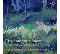 Audio Cd Louis Spohr - The Romantic Room - Chamber Works By Spohr