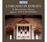 Luca Scandali - Organo In Europa