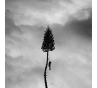 Audio Cd Manchester Orchestra - A Black Mile To The Surface
