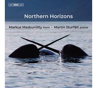 Audio Cd Martin Sturfalt / Markus Maskuniitty: Northern Horizons