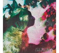 Audio Cd Pale Saints - The Comforts Of Madness (30Th Anniversary) (2 Cd)