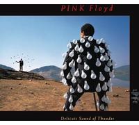 Pink Floyd Delicate Sound Of Thunder (Live) (CD)