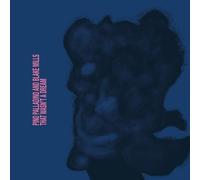 Pino Palladino And Blake Mills - That Wasn't A Dream (CD)