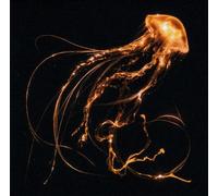 Royal Blood Back to the Water Below (CD) Album