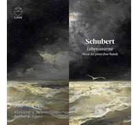 Audio Cd Schubert / Duo Pleyel - Lebenssturme
