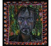 Audio Cd Steve Kilbey - Painkiller