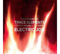 Trace Elements (Paolo Di Sabatino) - Electric Job (Live In Teramo)