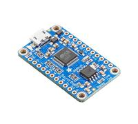 Audio FX - Mini scheda audio WAV/OGG Trigger flash da 16 MB