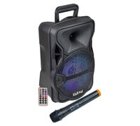 Audio & Hi-Fi Karma: Diffusore Amplificato Con Radiomicrofono 300W Pmpo