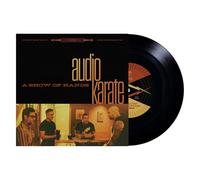 Audio Karate - Uno spettacolo di mani