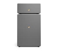 Audio Pro Drumfire II W - Altoparlante WiFi e Bluetooth, 300 W, multiroom, AirPlay 2, Google Cast, Spotify Connect, grigio