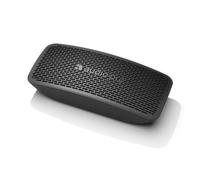 Audio Pro P5 Diffusore audio portatile BLUETOOTH a batteria, IPX4 da 35w, Nero