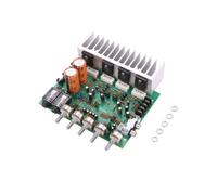Audio Scheda Amplificatore Hifi Amplificatore Di Potenza Per Riverbero Digitale 250W X 2 2.0 Amplificatore Posteriore Per Preamplificatore Audio Con