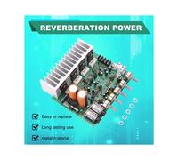 Audio Scheda Amplificatore Hifi Amplificatore Di Potenza Per Riverbero Digitale 250W X 2 2.0 Amplificatore Posteriore Per Preamplificatore Audio Con