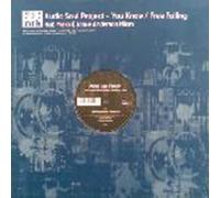 Audio Soul Project - You Know/Free Falling
