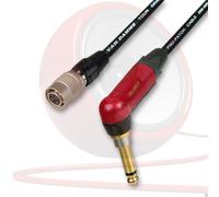 Audio Technica Chitarra Wireless Cavo. At-Gcw. 4 Asta Hirose Cavo Neutrik