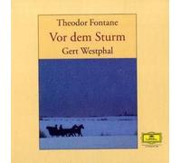 AUDIOBOOK - VOR DEM STURM