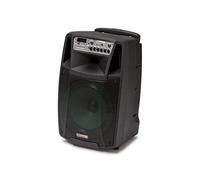 AUDIODESIGN PRO M2 12W/L cassa portatile, diffusore portatile con woofer da 320 mm e 2 microfoni wireless
