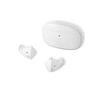 Audiogamma Cuffia stereo in-ear Final Audio ZE3000