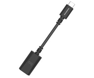 AudioQuest DragonTail - Adattatore da USB A a C in carbonio