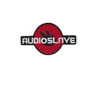 Audioslave - Toppa termoadesiva ricamata con band rock alternativa, accessorio souvenir