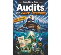 Audits en eaux troubles