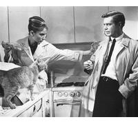 Audrey Hepburn As Holly Golightly, Poster Stampa 61x50.8cm Icona Immagine 176457