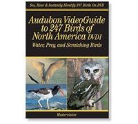 Audubon Video Guide to 258 Bir - Vol. 1-Water Prey & Scr
