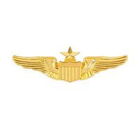 AUEAR, spilla da aviatore in metallo con ali militari USAF Air Force Senior Pilot Wing Badge oro