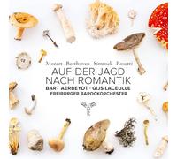Auf der Jagd Nach Romantik