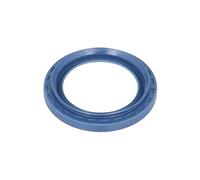 Auger 54887 - Anello Tenuta, Fuso A Snodo