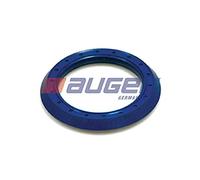 Auger 54888 - Anello Tenuta, Fuso A Snodo