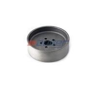 AUGER 57325 Puleggia, Pompa acqua