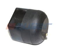 Auger AU344390-01 Servizio & Completo Molla ad Aria Adatto A per Mercedes Benz