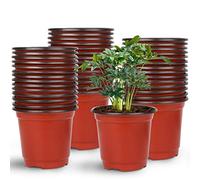 Augshy Vaso per vivaio, 75 pezzi, 10,2 cm, in plastica, per piantine grasse, trapianto, colore rosso