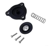 AugustknowU Attuatore a vuoto per Chevrolet per Cruze e modelli correlati tra cui adatto ai numeri di parte di fabbrica 7815045001 7815045002 7815045004