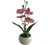 AugustknowU Orchidea farfalla da interno simulazione in vaso per contrasto texture contro superfici lisce come vetro, metallo o legno (rosa rosso)
