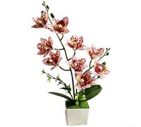 AugustknowU Pianta artificiale di orchidea Cymbidium in vaso, per lo styling di interni, ufficio, spazio abitativo e decorazione per matrimoni, con plastica morbida dall'aspetto naturale (macchie