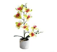 AugustknowU Riproduzione di orchidee decorative con miscelazione di colori realistici e base in cemento per scaffale, mensola e mensola per lo stile dell'ingresso (rosso rosa)